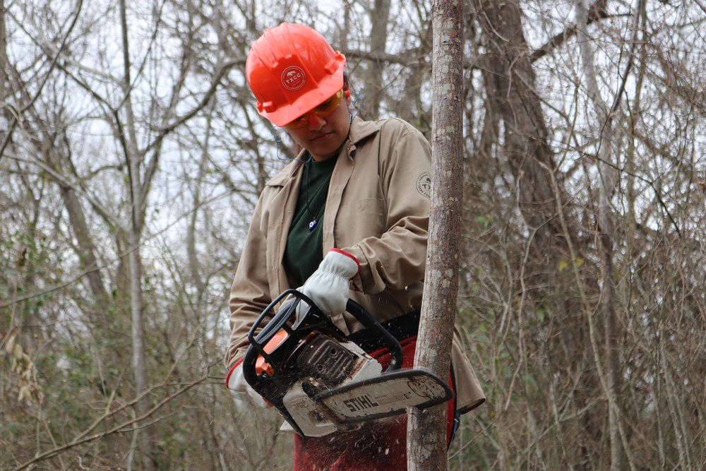 Apprentice participating in chainsaw training in a wooded setting